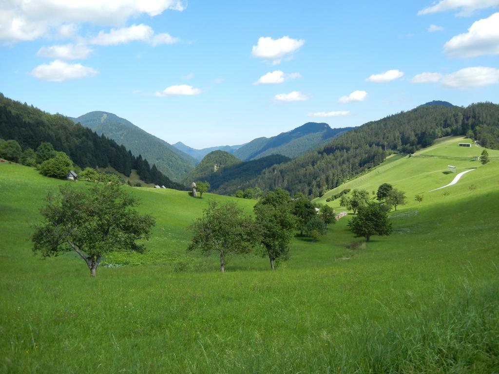 Guesthouse Tolc Spodnja Sorica Zewnętrze zdjęcie